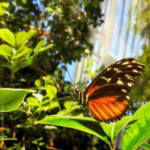 I discount bundles 😊